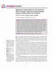 Research paper thumbnail of Pathways to Carbon Pollution: The Interactive Effects of Global, Political, and Organizational Factors on Power Plants' CO2 Emissions