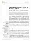 Research paper thumbnail of Differential expression of sirtuins in the aging rat brain