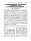 Research paper thumbnail of The Water Balance of May Nugus Catchment, Tigray, Northern Ethiopia