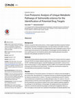 Research paper thumbnail of Core Proteomic Analysis of Unique Metabolic Pathways of Salmonella enterica for the Identification of Potential Drug Targets