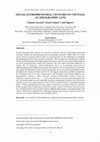 Research paper thumbnail of SOCIAL ENTREPRENEURIAL VENTURES IN VIETNAM: AN IDEOGRAPHIC LENS