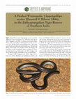 Research paper thumbnail of A Beaked Wormsnake, Grypotyphlops acutus (Duméril & Bibron 1844), in the Sathyamangalam Tiger Reserve of Southern India