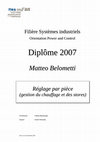 Research paper thumbnail of TRAVAIL DE DIPLOME 2007