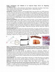 Research paper thumbnail of Design, Development, and Validation of an Improved Biopsy Device for Diagnosing Cholangiocarcinoma