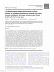 Research paper thumbnail of The Endosymbiotic Wolbachia and Host COI Gene Enables to Distinguish Between Two Invasive Palm Pests; Coconut Leaf Beetle, Brontispa longissima and Hispid Leaf Beetle, Octodonta nipae