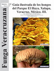 Research paper thumbnail of Guía ilustrada de los hongos del Parque El Haya, Xalapa, Veracruz, México. III.