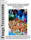 Research paper thumbnail of Guía ilustrada de los hongos comestibles silvestres de los mercados de Xalapa, Veracruz, México. I