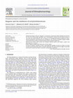 Research paper thumbnail of Ibogaine and the inhibition of acetylcholinesterase