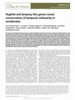 Research paper thumbnail of Hagfish and lamprey Hox genes reveal conservation of temporal colinearity in vertebrates