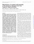 Research paper thumbnail of Mechanisms of covalent self-assembly of the Azoarcus ribozyme from four fragment oligonucleotides