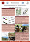 Research paper thumbnail of Geoarchäologische Untersuchungen an den Terrassen von Ramosch (CH) - ein Multimethodenansatz zur Detektion anthropogener Hinterlassenschaften