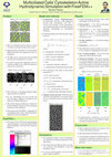 Research paper thumbnail of Multiciliated Cells' Cytoskeleton Active Hydrodynamic Simulation with FreeFEM++