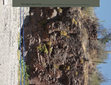 Research paper thumbnail of Haciendo frente a los embates medioambientales: conservación integral del sitio rupestre de Cuevas Pintas, Baja California Sur