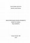 Research paper thumbnail of Baixa Endogamia em Melhoramento Genético Animal - Raça Senepol