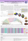 Research paper thumbnail of Polymorphisms in the Promoter Region of GULO Gene in Dogs