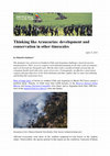 Research paper thumbnail of Thinking like Araucarias: development and conservation in other timescales