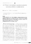 Research paper thumbnail of As etnias e os outros As espacialidades dos encontros-confrontos