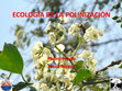 Research paper thumbnail of Ecología de la polinización