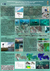 Research paper thumbnail of Conference Poster: Underwater photogrammetry digital surface model (DSM) of the submerged site of the ancient lighthouse near Qaitbay Fort in Alexandria, Egypt