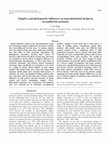 Research paper thumbnail of Adaptive and phylogenetic influences on musculoskeletal design in cercopithecine primates