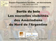 Research paper thumbnail of Preci A., Gautreau P., Tallet B., 2018, Nouvelles visibilités démographiques des amérindiens en Argentine