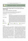 Research paper thumbnail of Diagnostic Study of Ginger Market Access for Eastern and Western region of Nepal