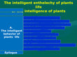 Research paper thumbnail of The intelligent entelechy of plants life or the intelligence of plants. A. The intelligent behaviour of plants life. Epilogue ppt