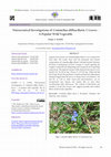 Research paper thumbnail of Nutraceutical Investigations of Commelina diffusa Burm. f. Leaves - A Popular Wild Vegetable