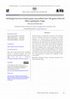 Research paper thumbnail of Antifungal Activity of Semecarpus anacardium Linn. Oil against Selected Phyto-pathogenic Fungi