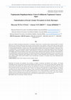 Research paper thumbnail of Toplumsalın Doğallaştırılması: Erken Evliliklerde Toplumsal Cinsiyet Algısı
Naturalization of Social: Gender Perception in Early Marriages