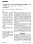 Research paper thumbnail of C-shaped canal system in mandibular second molars part IV: 3-D morphological analysis and transverse measurement