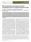 Research paper thumbnail of Macroevolutionary convergence connects morphological form to ecological function in birds