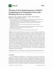 Research paper thumbnail of The Roles of DNA Methyltransferases 1 (DNMT1) in Regulating Sexual Dimorphism in the Cotton Mealybug, Phenacoccus solenopsis