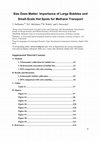 Research paper thumbnail of Size Does Matter: Importance of Large Bubbles and Small-Scale Hot Spots for Methane Transport