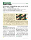 Research paper thumbnail of Size Does Matter: Importance of Large Bubbles and Small-Scale Hot Spots for Methane Transport