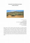 Research paper thumbnail of Sotto gli ulivi: Pratica filosofica nella natura di Diana Marcheschi