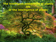 Research paper thumbnail of The intelligent enthelechy of plants life or the intelligence of plants. Introduction  Prolegomena.