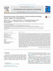 Research paper thumbnail of Bactericidal activity of fish galectin 4 derived membrane-binding peptide tagged with oligotryptophan