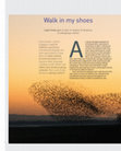 Research paper thumbnail of Walk in my shoes