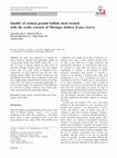 Research paper thumbnail of Quality of cooked ground buffalo meat treated with the crude extracts of Moringa oleifera (Lam.) leaves