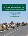 Research paper thumbnail of POVERTY, RIVALRY and ANTAGONISM The Report on the Present Situation of in Seasonal Agricultural Production in Turkey FOREIGN MIGRANT WORKERS