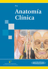 Research paper thumbnail of Anatomía Clínica