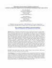 Research paper thumbnail of Grounding transnational business governance: A political‐strategic perspective on government responses in the Global South