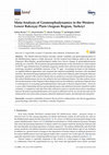 Research paper thumbnail of Meta-Analysis of Geomorphodynamics in the Western Lower Bakırçay Plain (Aegean Region, Turkey)