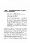 Research paper thumbnail of A Potency of Microcellulose from Pineapple Leave Isolated by Hydrolysis-Assisted Sonication