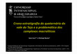 Research paper thumbnail of Crono-estratigrafia do quaternário do vale do Tejo e a problemática dos complexos macrolíticos