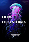 Research paper thumbnail of Filum Coelenterata