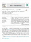 Research paper thumbnail of Coherent interferometric imaging in a random flow