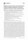 Research paper thumbnail of Mitigation of Nickel Toxicity and Growth Promotion in Sesame through the Application of a Bacterial Endophyte and Zeolite in Nickel Contaminated Soil