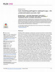 Research paper thumbnail of Cats shedding pathogenic Leptospira spp.-An underestimated zoonotic risk